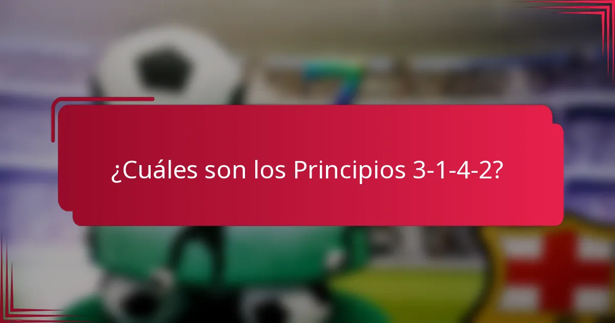 ¿Cuáles son los Principios 3-1-4-2?