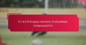 Read more about the article 3-1-4-2 Principios: Anchura, Profundidad, Compactación