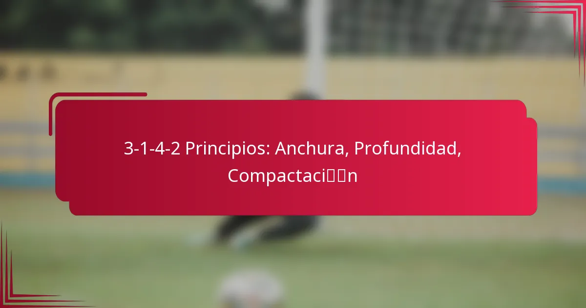 You are currently viewing 3-1-4-2 Principios: Anchura, Profundidad, Compactación