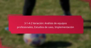 Read more about the article 3-1-4-2 Variación: Análisis de equipos profesionales, Estudios de caso, Implementación